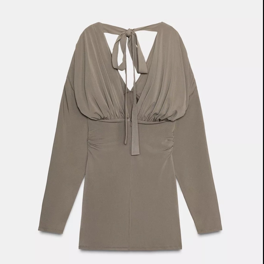 Zara Taupe Short Dres